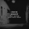 Awake (feat. Bustine) [Linas Music Remix] - Dwin lyrics