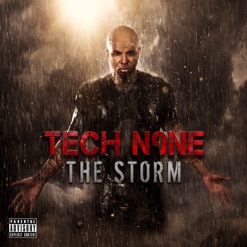 THE STORM cover art