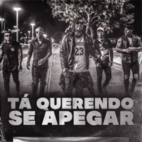 Tá Querendo Se Apegar - Single - Novo Extima & Nego Di