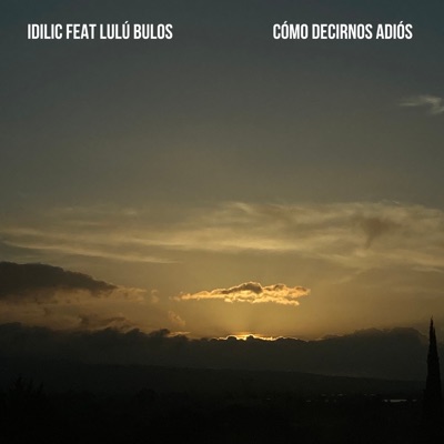 Cómo Decirnos Adiós (feat. Lulú Bulos) - Single