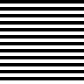 Cold (feat. Eileen Sho Ji) Stripess