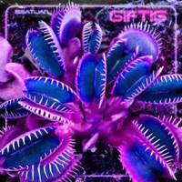 Giftig - Single - Issatijan & Ya-Ya