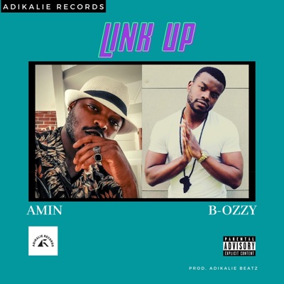Link Up (feat. Amin) - Single