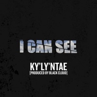I Can See - Single - BIG KYLY