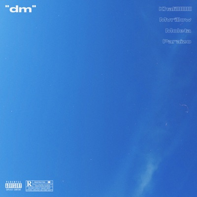 Dm (feat. Paraizo) - Single