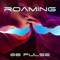 Roaming - 08 Pulse lyrics