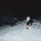 Luna's Lullaby - Wood Lake lyrics
