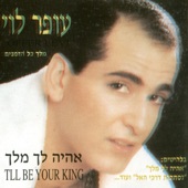 נגנב ממנה artwork