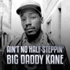 Big Daddy Kane - Ain't No Half-Steppin'