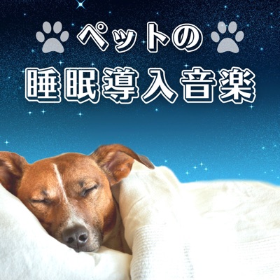 子犬の癒し 動物スリープ Shazam