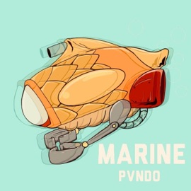 Marine Pvndo