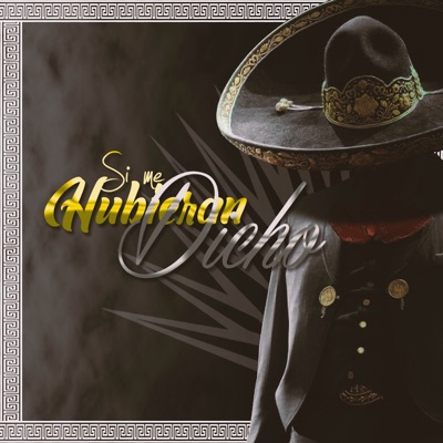 Si Me Hubieran Dicho - Single