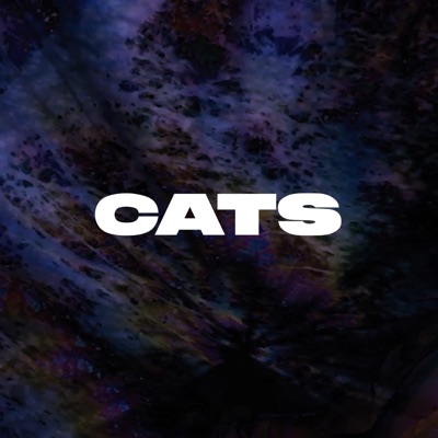 Cats (feat. Lucia Cadotsch & Wanja Slavin) - Single