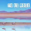 Tu Es Rose (feat. Témé Tan)
