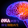 DNA刺激与修复细胞再生 - 最深层次的疗愈音频, 有助于细胞再生, 疲劳恢复 - 激活大脑音乐