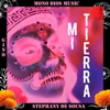 Mi Tierra (feat. Gino & Stephany Souza) - Single