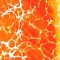 Orange Crush Redux - Who Boy lyrics