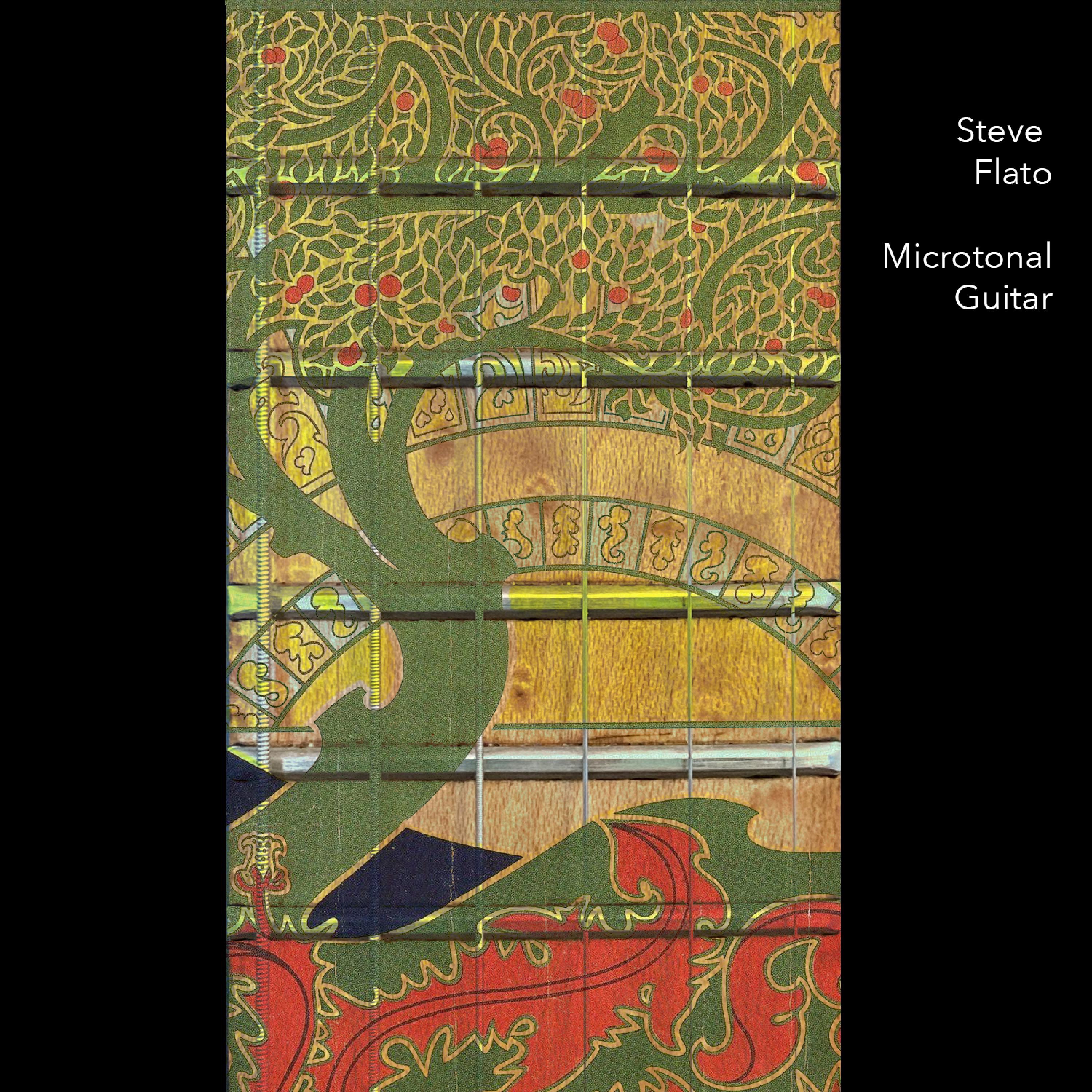 Microtonal Guitar