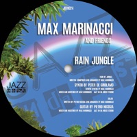 Rain Jungle - Single - Max Marinacci