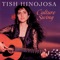 Bandera Del Sol / Flag of the Sun - Tish Hinojosa lyrics