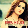 BASI PARE PARE DUMANLI DAGLAR