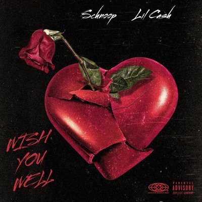Wish You Well (feat. YNF Cash) - Single