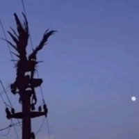 Love Letters - Single - Lameboysharp