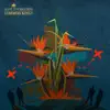 Common Kings - Lost in Paradise