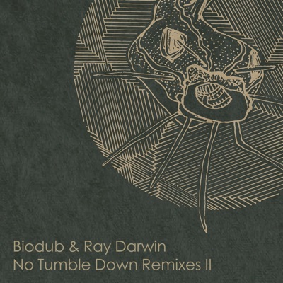No Tumble Down Remixes 2 - Single