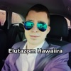 Elutazom Hawaiira (Radio Edit) - Single