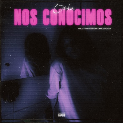 Nos Conocimos - Single