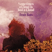 Fruit Bats - Without Any Airs