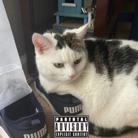 LYNX (feat. Kuromang) - Single - NINEXCIX