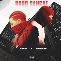 Purosangue (feat. ytpTayo) [YS] [YS] - Single - 66SEiV