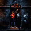 Al Di Meola