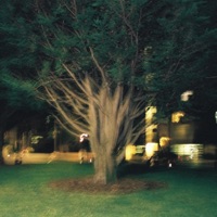 Field Ambience - Single - Ben Lacey