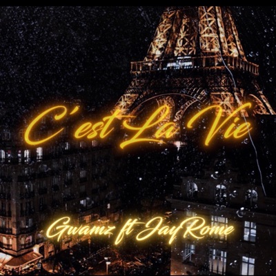 C'est La Vie (feat. Jay Rome) - Single