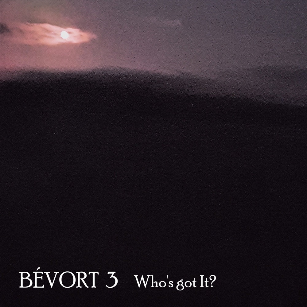 Обложка альбома «Who’s Got It (Live at Montmartre 2020) [feat. Morten Ankarfeldt & Espen Laub von Lillienskjold] - Single» — Bévort 3