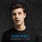 Shawn Mendes & Camila Ca - I Know What You Did Last Summer