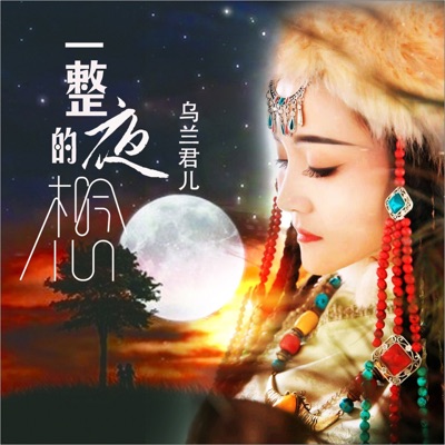 一整夜的想念 (DJ何鹏版) - Single