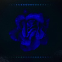 Blue - Single - Percy Bluu
