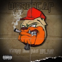 Every Dog Has His Day - Single - Bigredcap