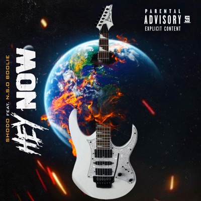 Hey Now (feat. N.S.O Boolie) - Single