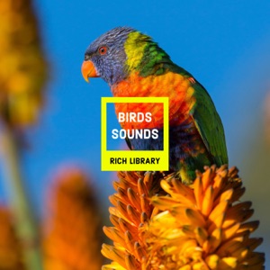 Birds Sounds Rich Library - EP