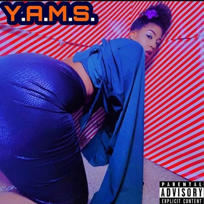 Y.A.M.S. - Single