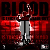 Blood Is Thicker Than Water, But Spirit Is Thicker Than Blood artwork