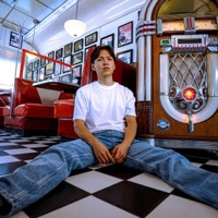 I'm Fine - Single - David Shou