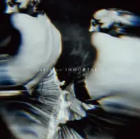 hidden one — sukekiyo
