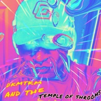 DKMTKM and the Temple of Shrooms - Single - DkMTkM
