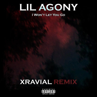 I Won’t Let You Go (feat. Lil Agony) [Xravial Remix] [Xravial Remix] - Single